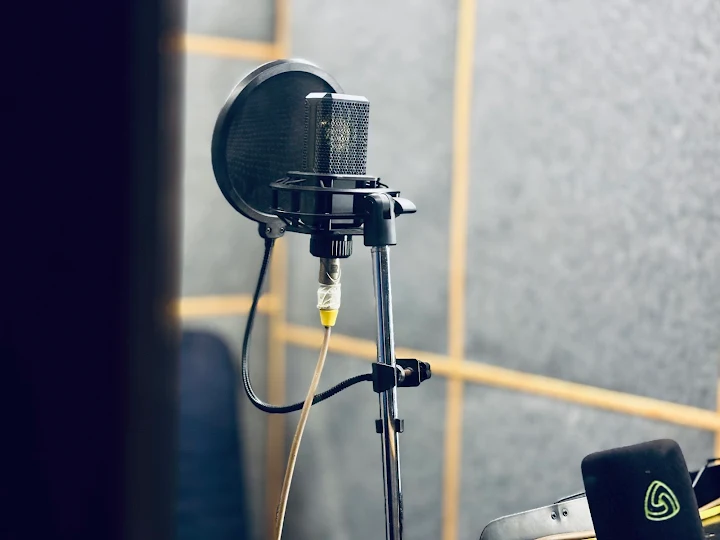 Studio condenser microphone with pop filter and shock mount in the vocal booth